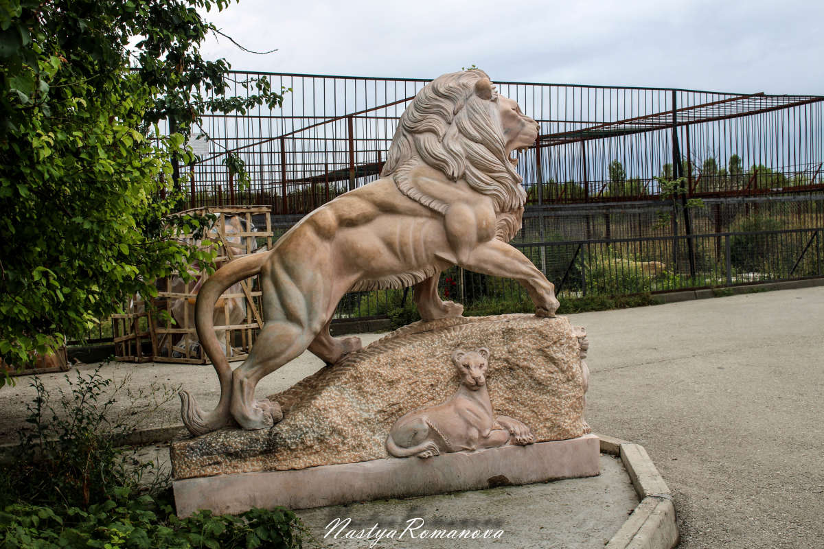 ���� ����� ��������� ���������� �� PhotoGeek.ru #�������� ����������