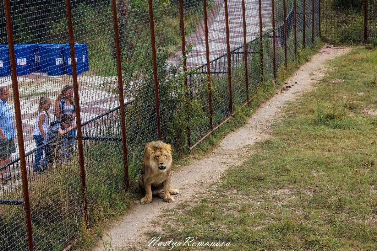 ... ����� ��������� ���������� �� PhotoGeek.ru #�������� ���