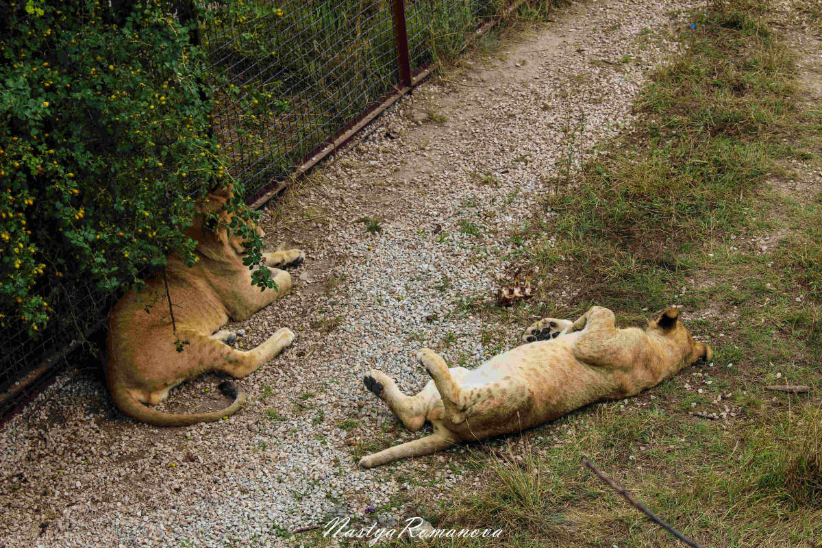 ... ����� ��������� ���������� �� PhotoGeek.ru #�������� ���