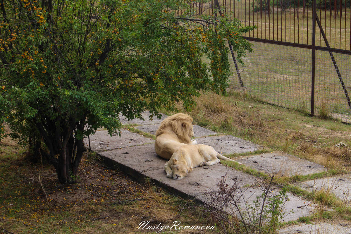 ������� ������� ����� ��������� ���������� �� PhotoGeek.ru #�������� ���