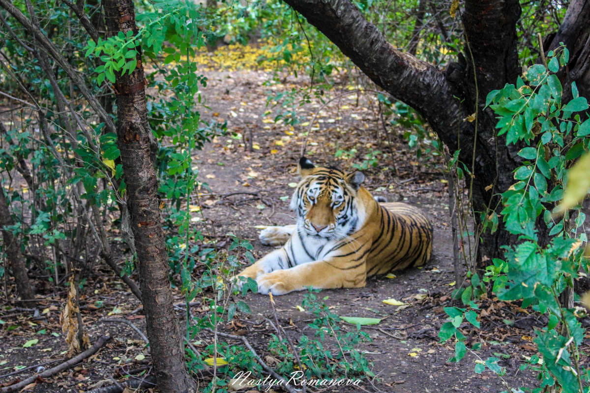 ... ����� ��������� ���������� �� PhotoGeek.ru #�������� ���