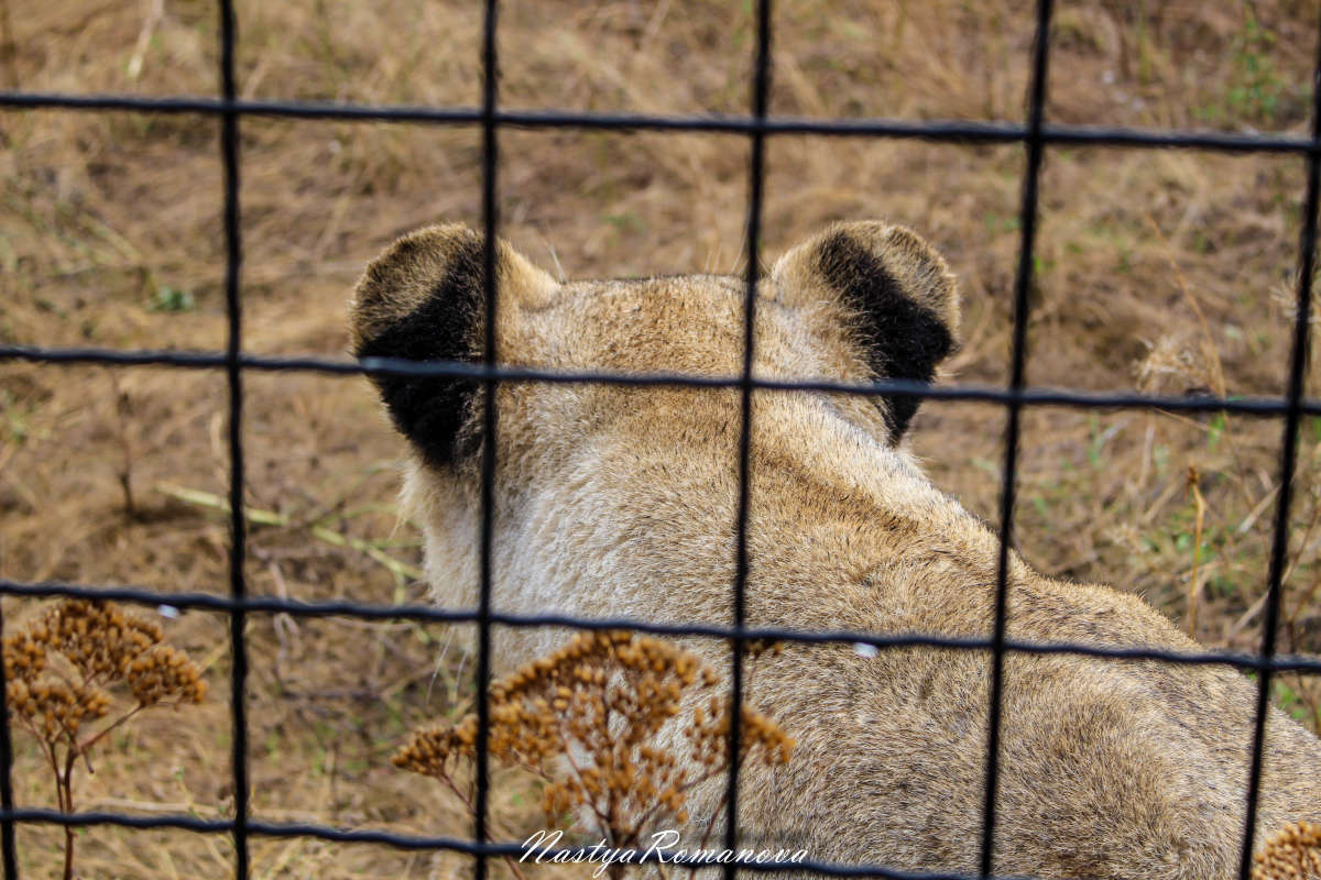 ���� �� �������) ����� ��������� ���������� �� PhotoGeek.ru #�������� ���