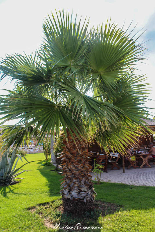 ... ����� ��������� ���������� �� PhotoGeek.ru #������ ��� �������