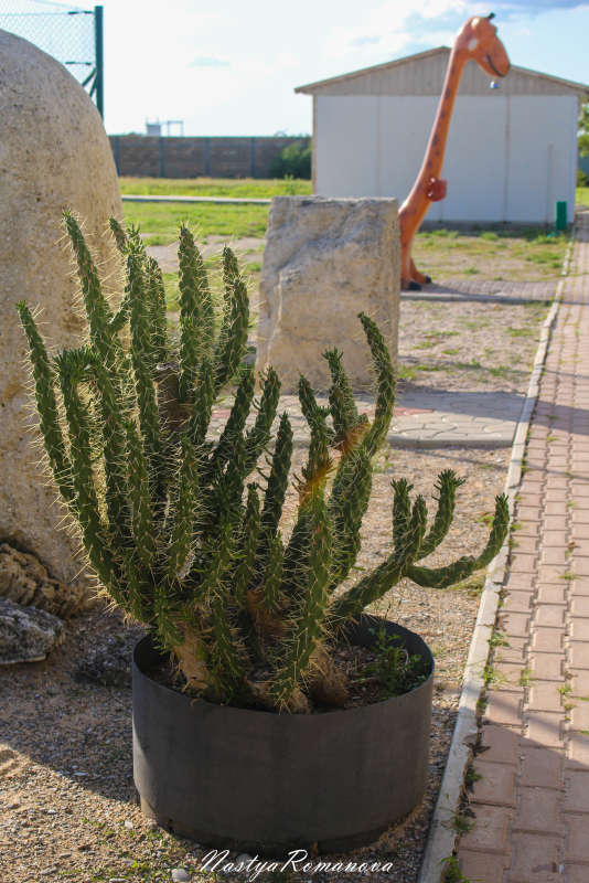 ... ����� ��������� ���������� �� PhotoGeek.ru #������ ��� ������� #����� ��������������