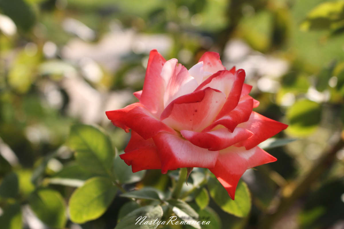 ... ����� ��������� ���������� �� PhotoGeek.ru #������ ��� �������