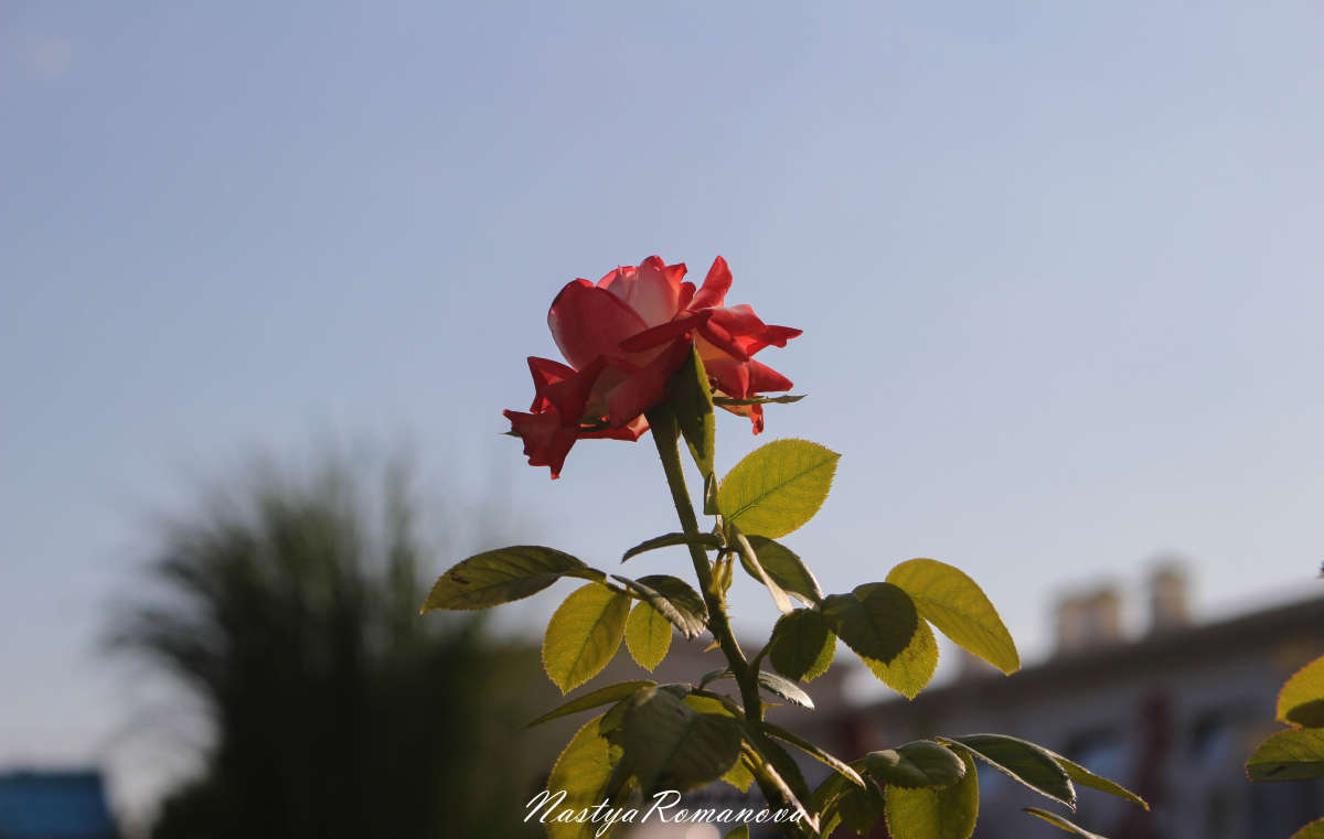 ... ����� ��������� ���������� �� PhotoGeek.ru #������ ��� �������