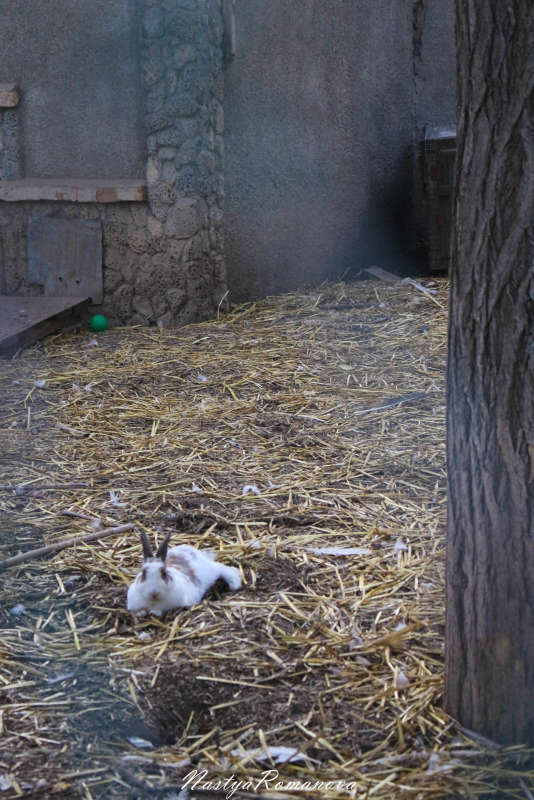 ��������) ����� ��������� ���������� �� PhotoGeek.ru #�������� ��� #������������� �������