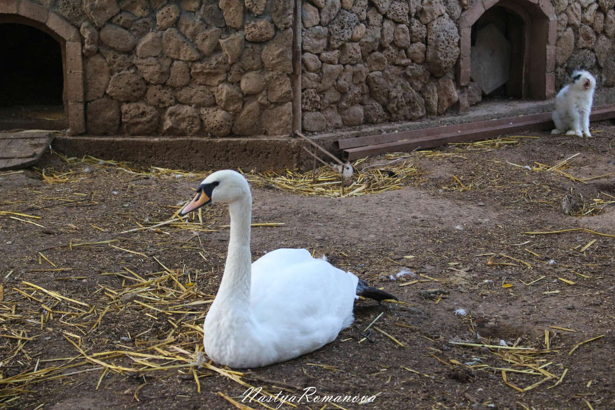 ... ����� ��������� ���������� �� PhotoGeek.ru #�������� ���