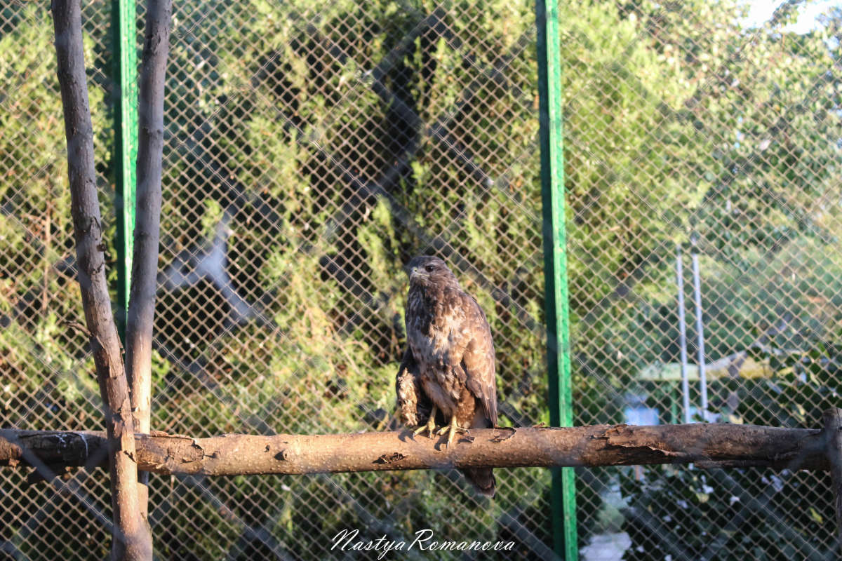 ... ����� ��������� ���������� �� PhotoGeek.ru #�������� ���