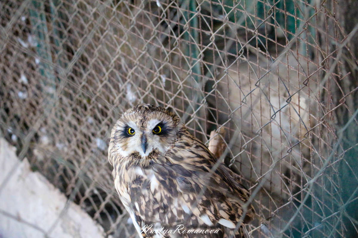 ���������� ����� ��������� ���������� �� PhotoGeek.ru #�������� ���