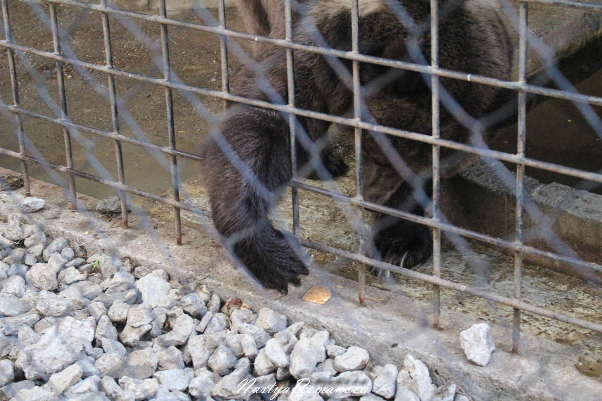 ���������������) ����� ��������� ���������� �� PhotoGeek.ru #�������� ���