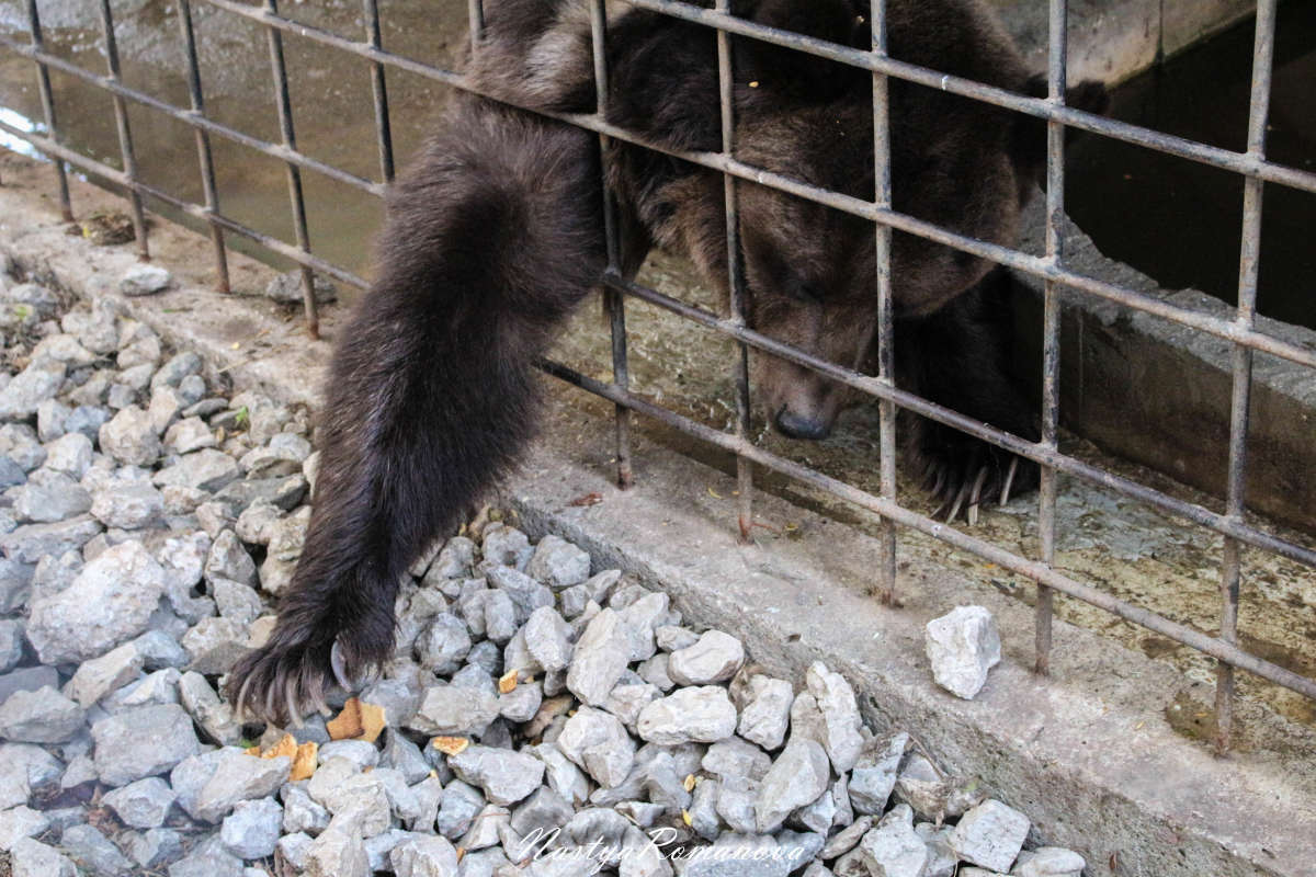 ... ����� ��������� ���������� �� PhotoGeek.ru #�������� ���