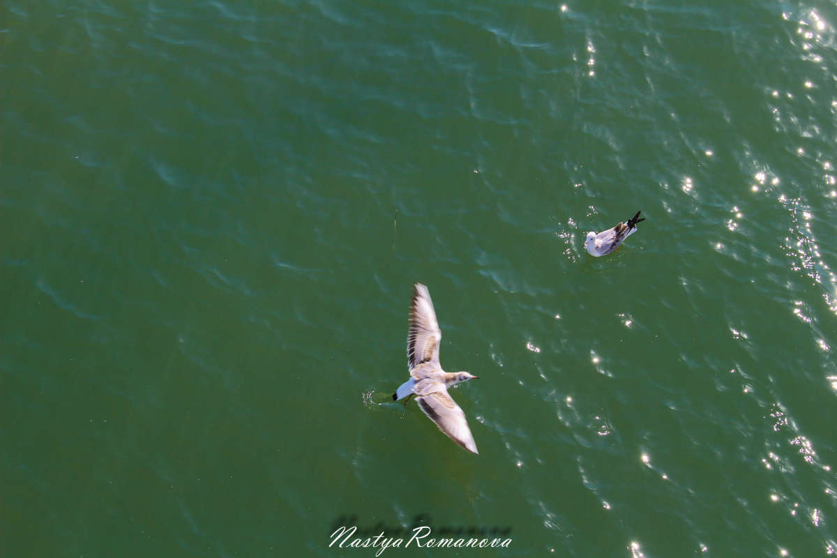 ... ����� ��������� ���������� �� PhotoGeek.ru #�������� ��� #����� ��� ��� ���������