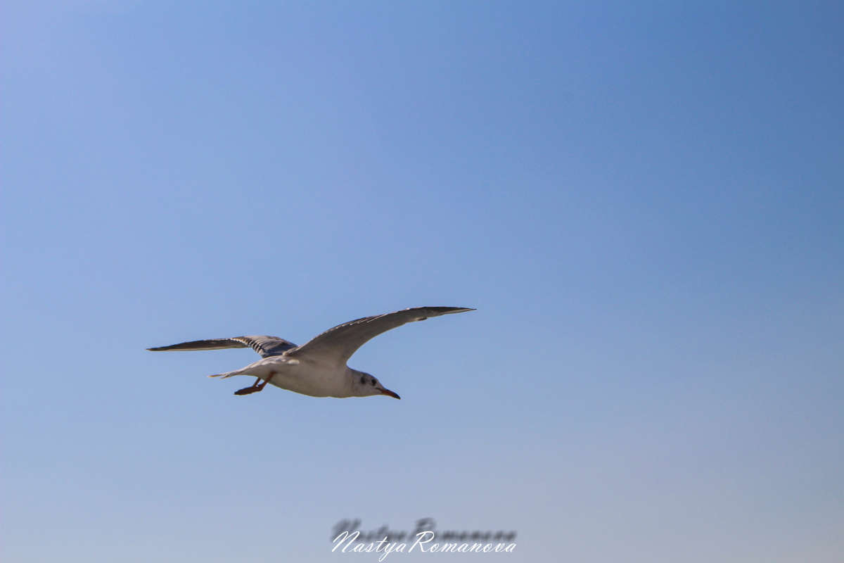 ... ����� ��������� ���������� �� PhotoGeek.ru #�������� ��� #�������