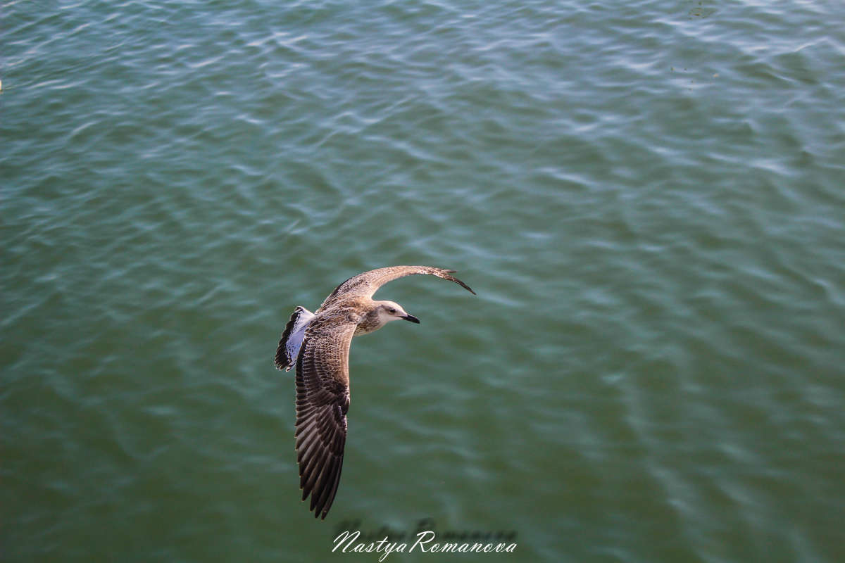 ������ ����� ��������� ���������� �� PhotoGeek.ru #�������� ���