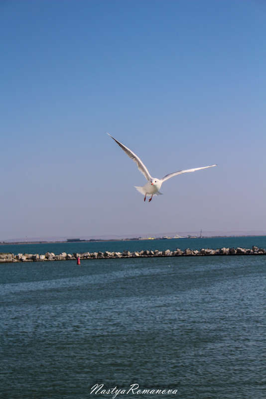 ... ����� ��������� ���������� �� PhotoGeek.ru #�������� ���