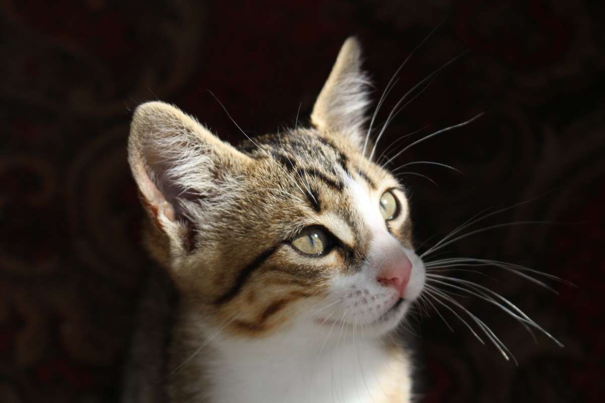 ����� ����� ��������� ���������� �� PhotoGeek.ru #�������� ���