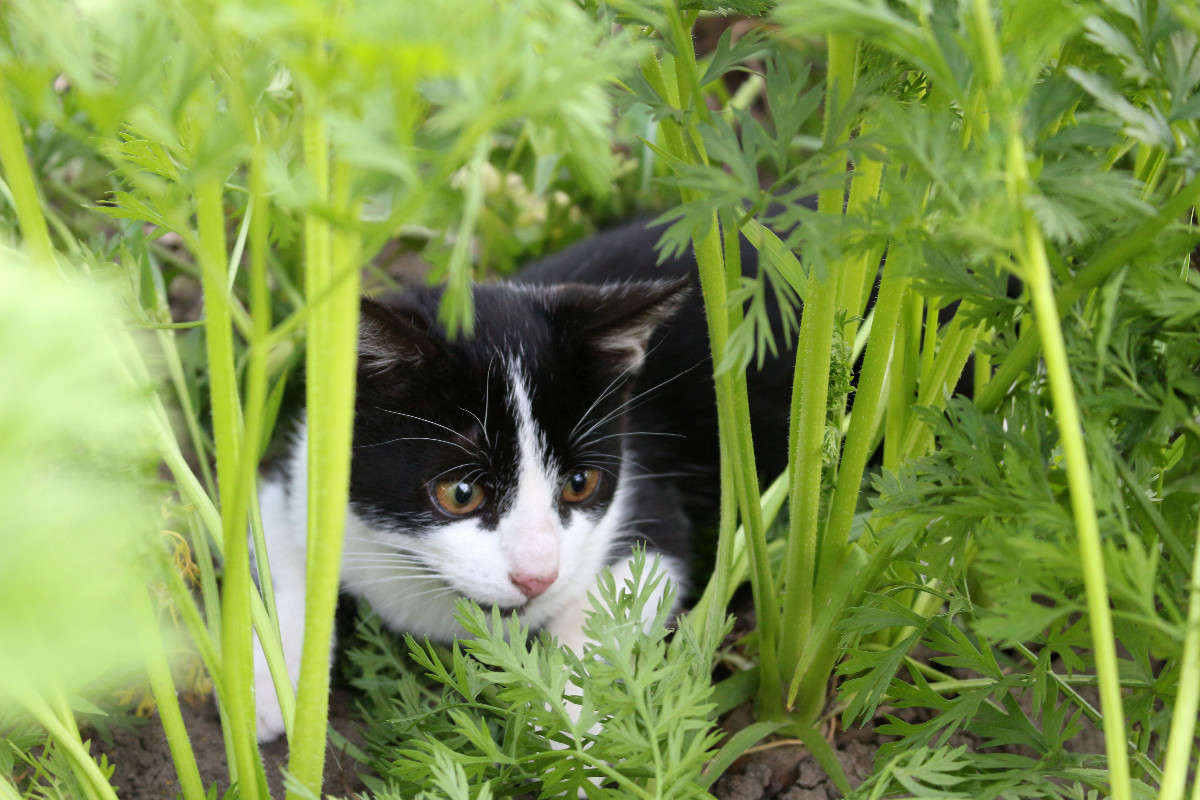 ����� ����� ��������� ���������� �� PhotoGeek.ru #�������� ���