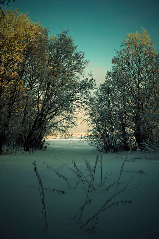 ������ ������ ����� �����  �� PhotoGeek.ru #������ ��� �������