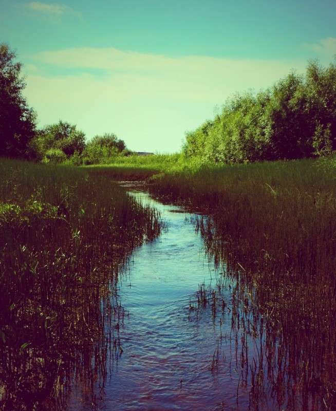 ���� ����� �����  �� PhotoGeek.ru #������ ��� �������