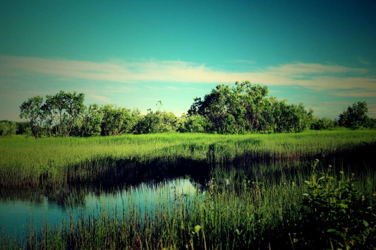 ������� ����� �����  �� PhotoGeek.ru #������ ��� �������