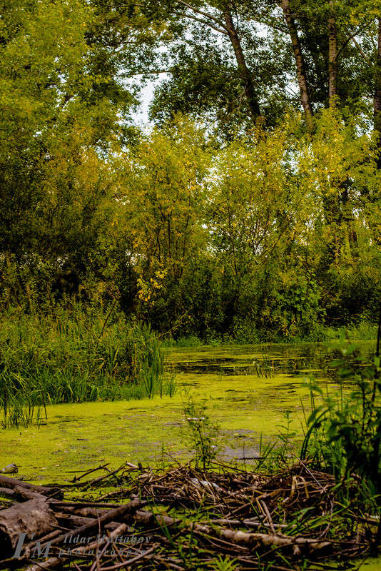 ... ����� ������ �������� �� PhotoGeek.ru #������ ��� �������