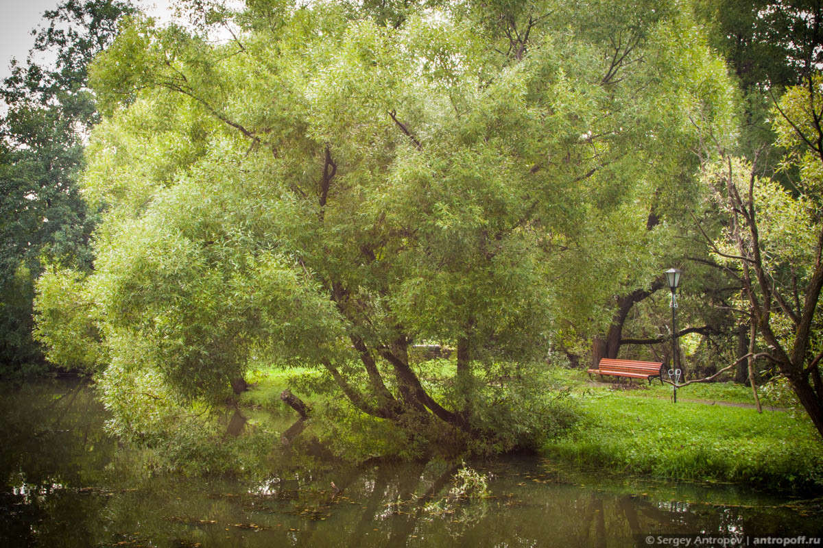 ������, ����! ����� Sergey Antropoff �� PhotoGeek.ru #������ ��� �������