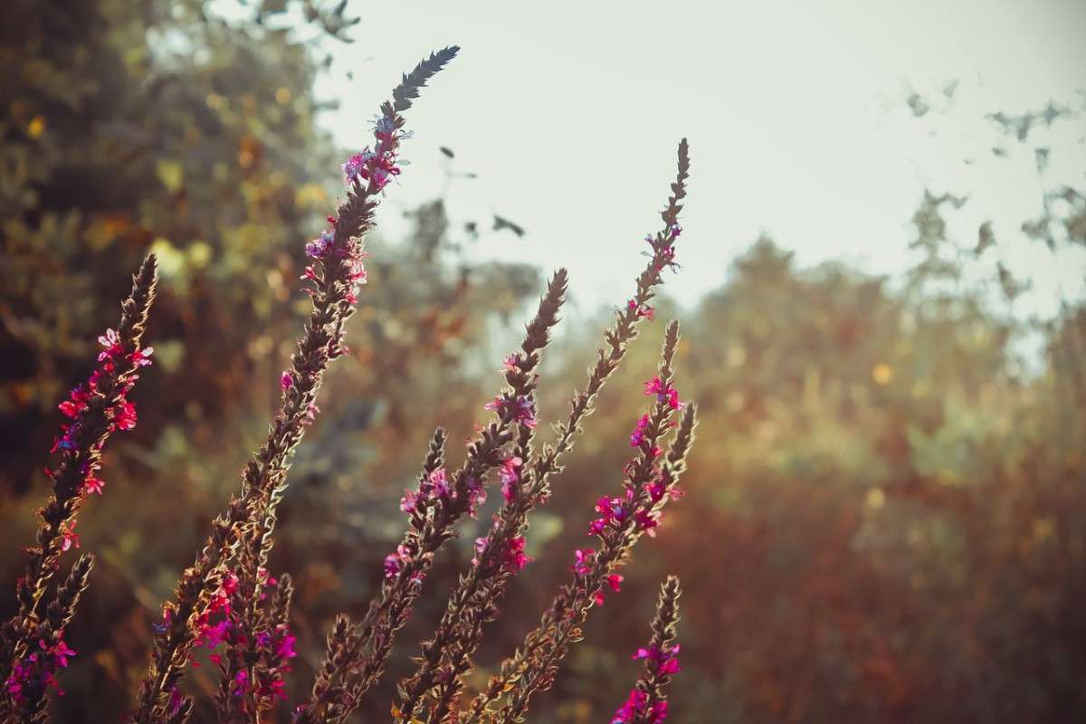 2 ����� ��� ������� �� PhotoGeek.ru #������ ��� ������� #����� ��������������