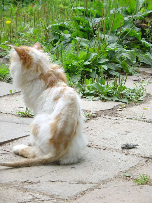 ... ����� ����� ����������� �� PhotoGeek.ru #�������� ��� #�������� ���