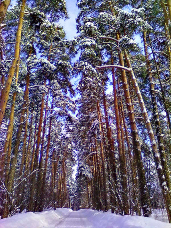 ... ����� ����� ����������� �� PhotoGeek.ru #������ ��� �������