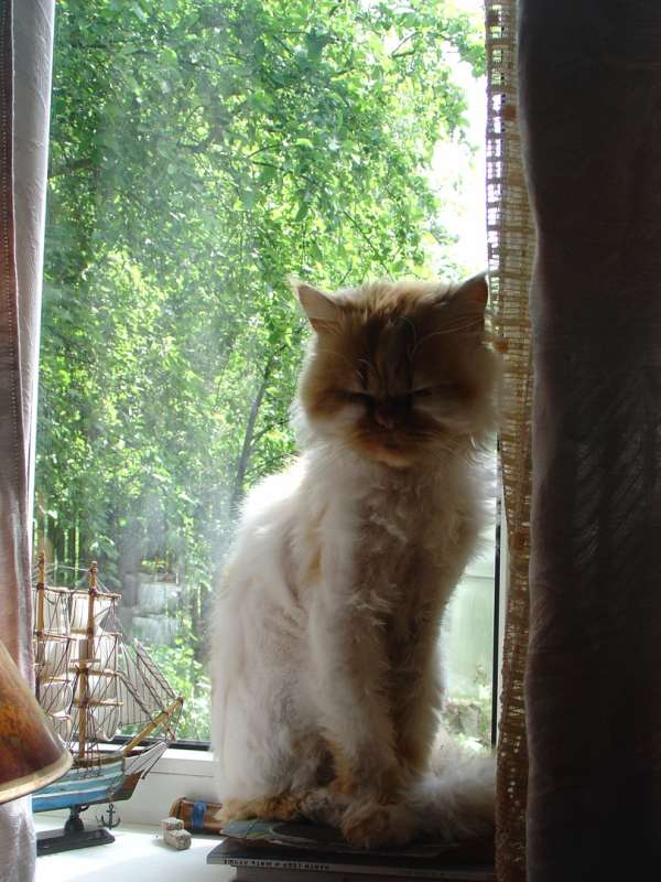 ... ����� ����� ����������� �� PhotoGeek.ru #�������� ��� #�������� ����������