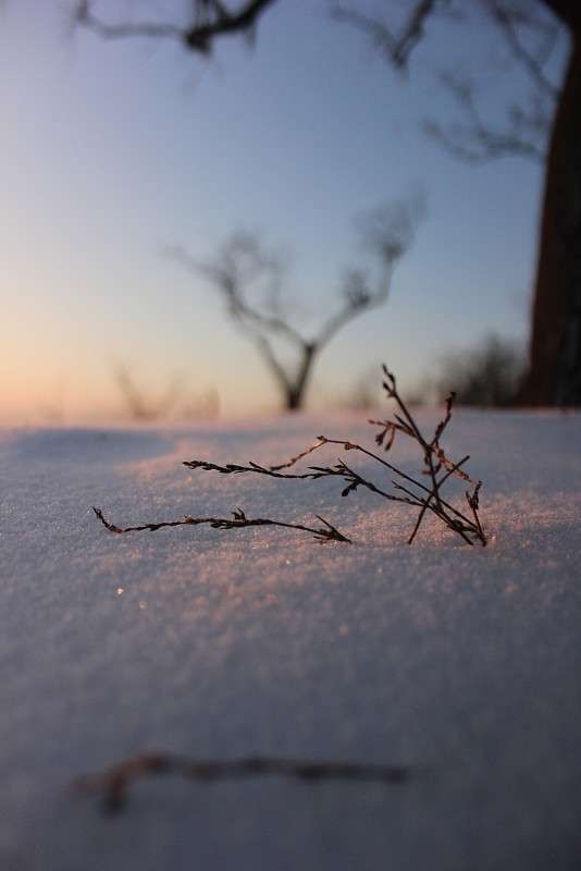 ������� ����� �����  �� PhotoGeek.ru #������ ��� �������