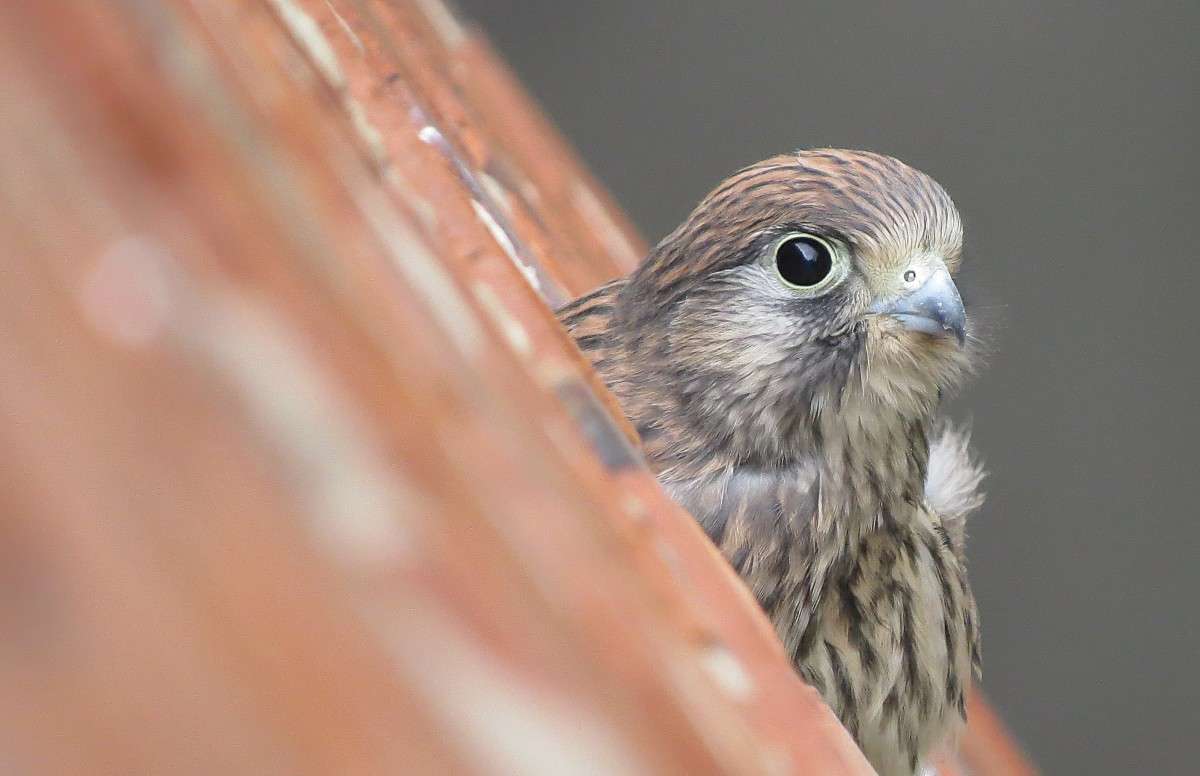 ����������� ���������� ����� �����  �� PhotoGeek.ru #�������� ���