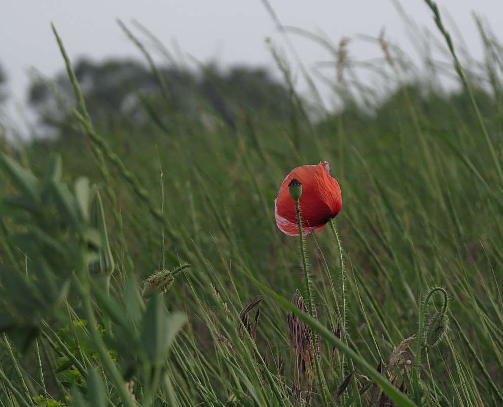 ... ����� �����  �� PhotoGeek.ru #������ ��� �������