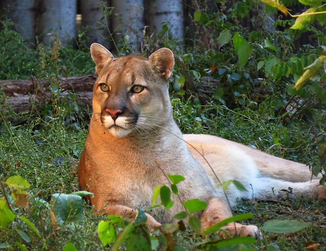 ... ����� �����  �� PhotoGeek.ru #�������� ���