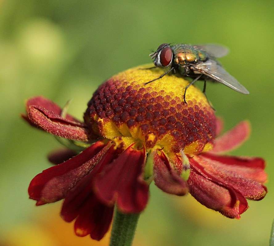 ... ����� �����  �� PhotoGeek.ru #�������� ���