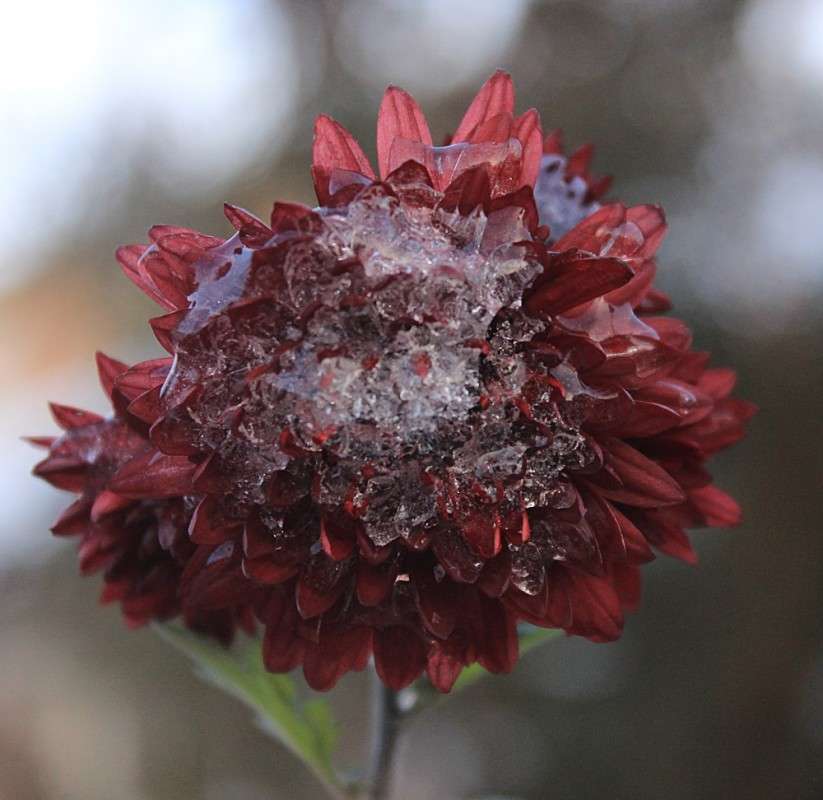 ������� ������ ����� �����  �� PhotoGeek.ru #������ ��� �������