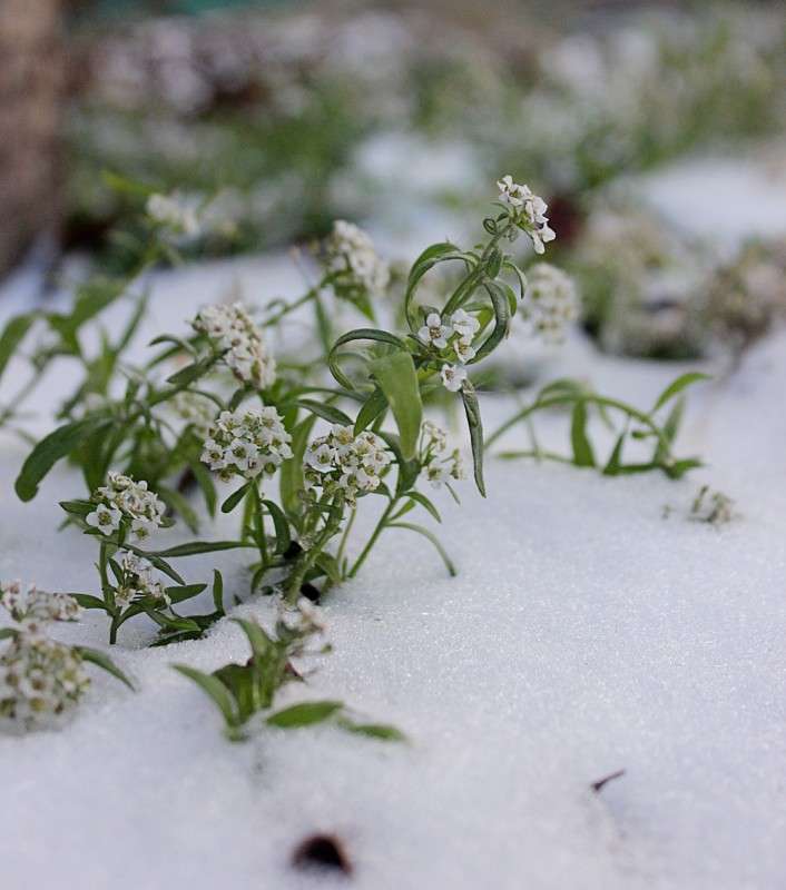 ����� �� ����� ����� �����  �� PhotoGeek.ru #������ ��� �������