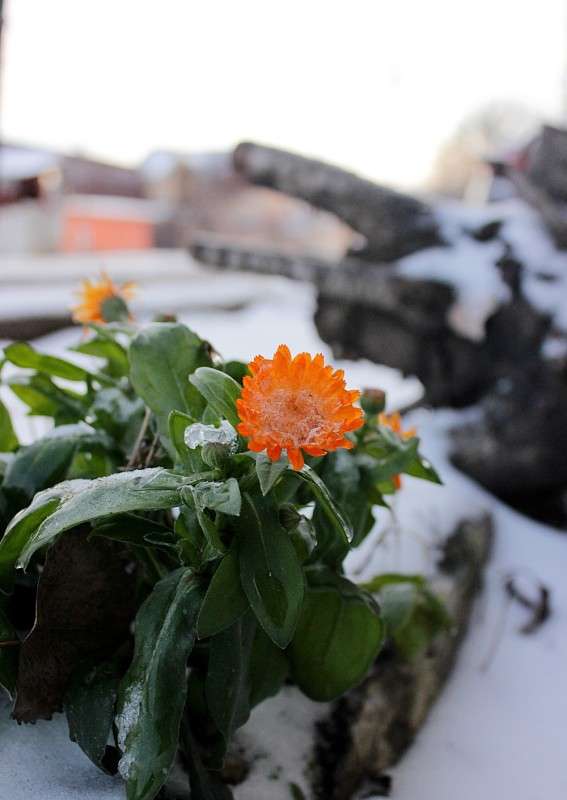 ... ����� �����  �� PhotoGeek.ru #������ ��� �������