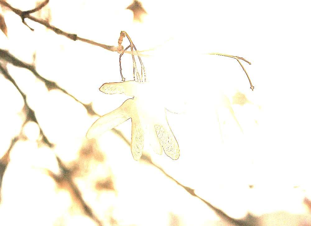 ??????????????????????????? ����� �����  �� PhotoGeek.ru #������ ��� �������