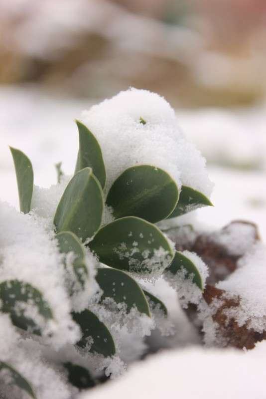 ... ����� �����  �� PhotoGeek.ru #������ ��� �������