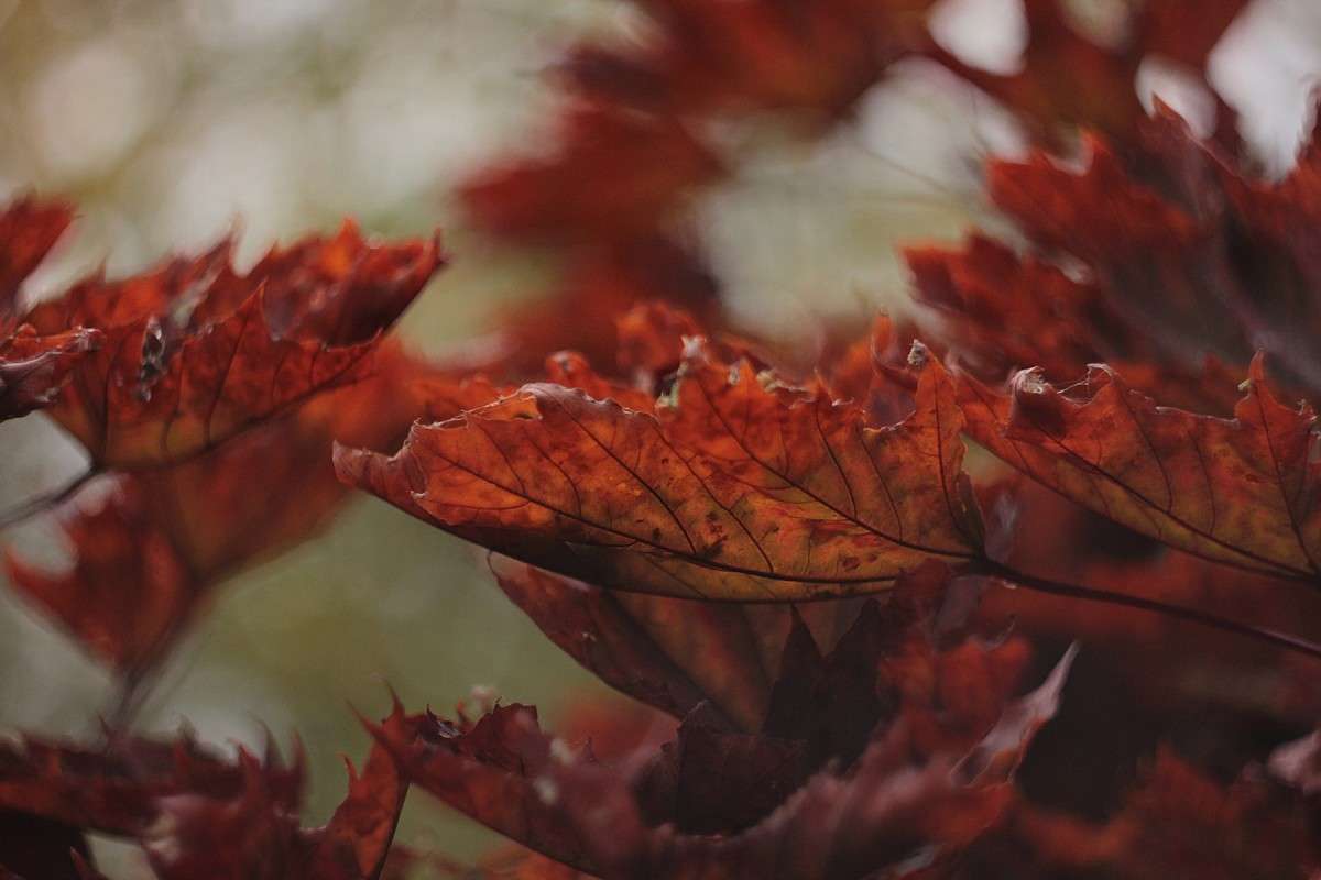 ... ����� �����  �� PhotoGeek.ru #������ ��� �������