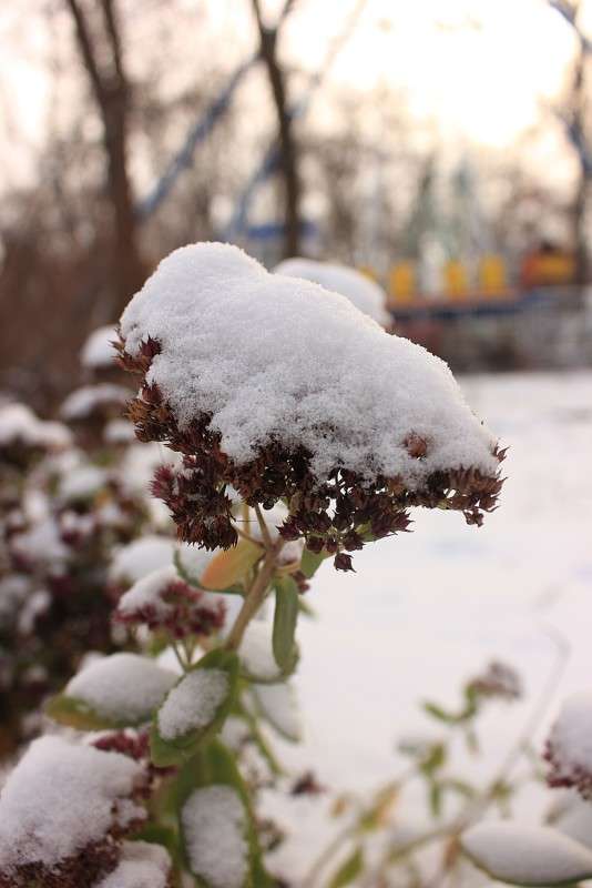 ... ����� �����  �� PhotoGeek.ru #������ ��� �������