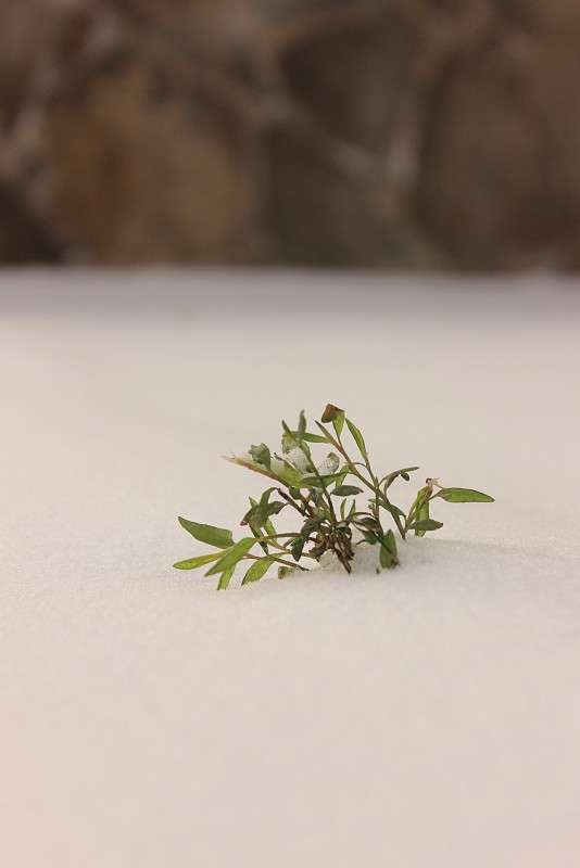 ... ����� �����  �� PhotoGeek.ru #������ ��� �������