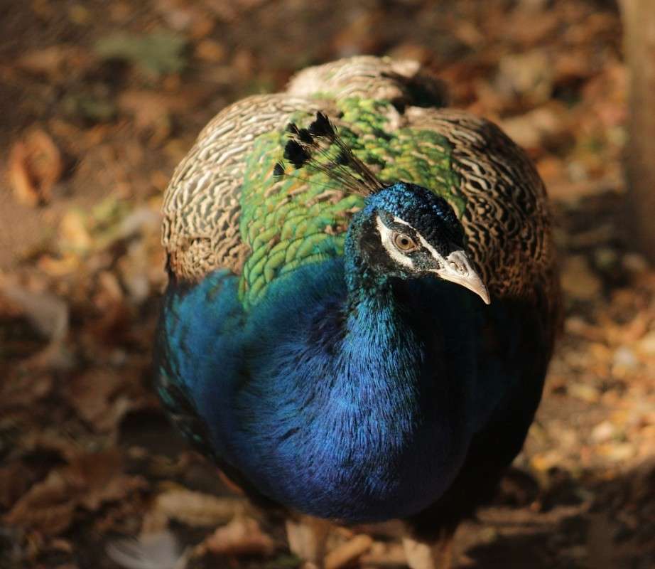 �������� ������� ����� �����  �� PhotoGeek.ru #�������� ���