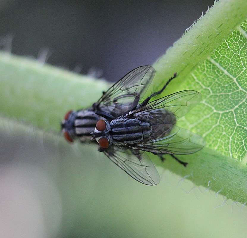 ������ ����� �����  �� PhotoGeek.ru #�������� ���