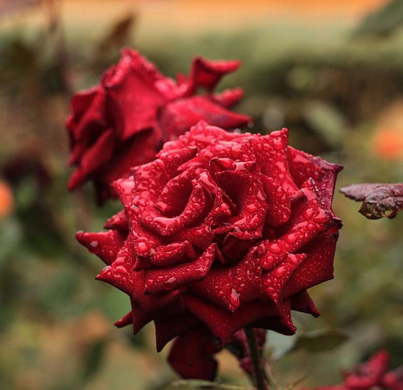 ����� ����� �����  �� PhotoGeek.ru #������ ��� �������