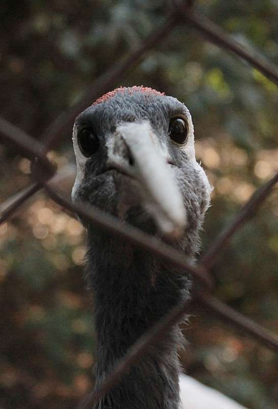 �������� ����� �����  �� PhotoGeek.ru #�������� ���