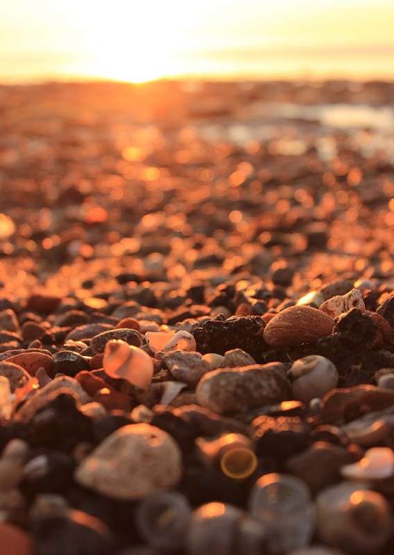 ... ����� �����  �� PhotoGeek.ru #������ ��� �������