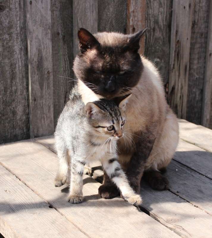 ��� ���������������� ����� ����� �����  �� PhotoGeek.ru #�������� ���